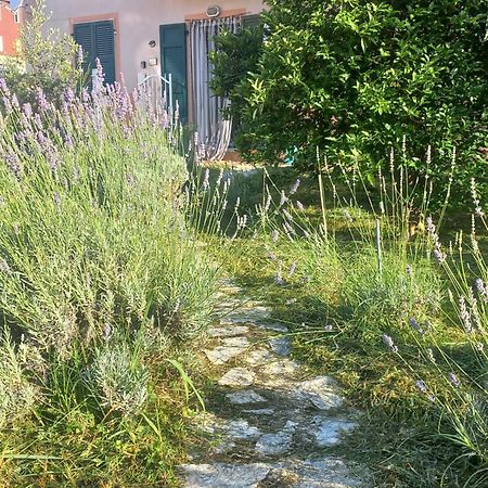 La Casa Di Ulivi Villa Piano di Follo Exteriör bild