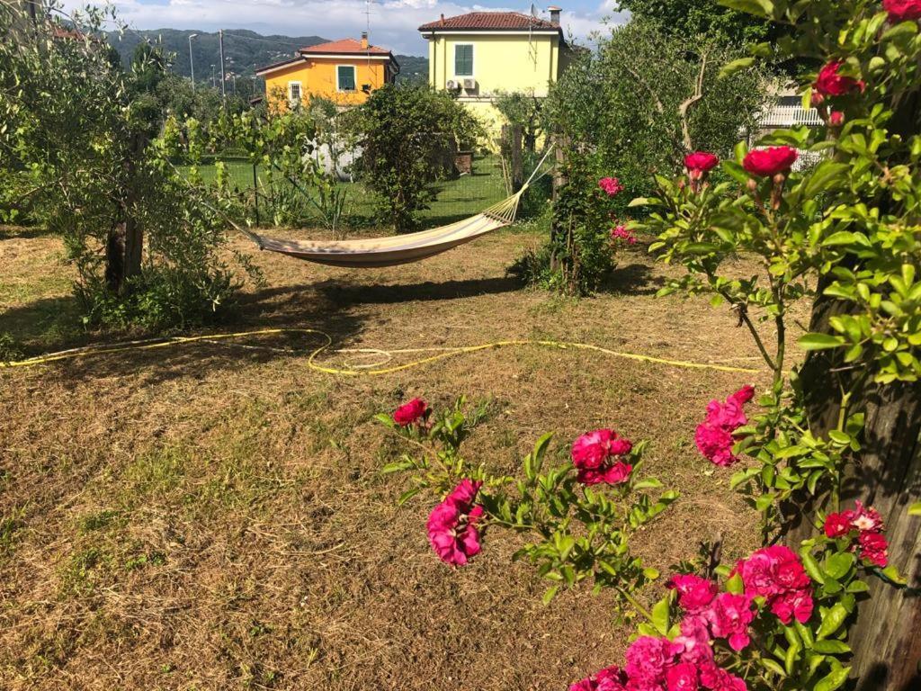 La Casa Di Ulivi Villa Piano di Follo Exteriör bild