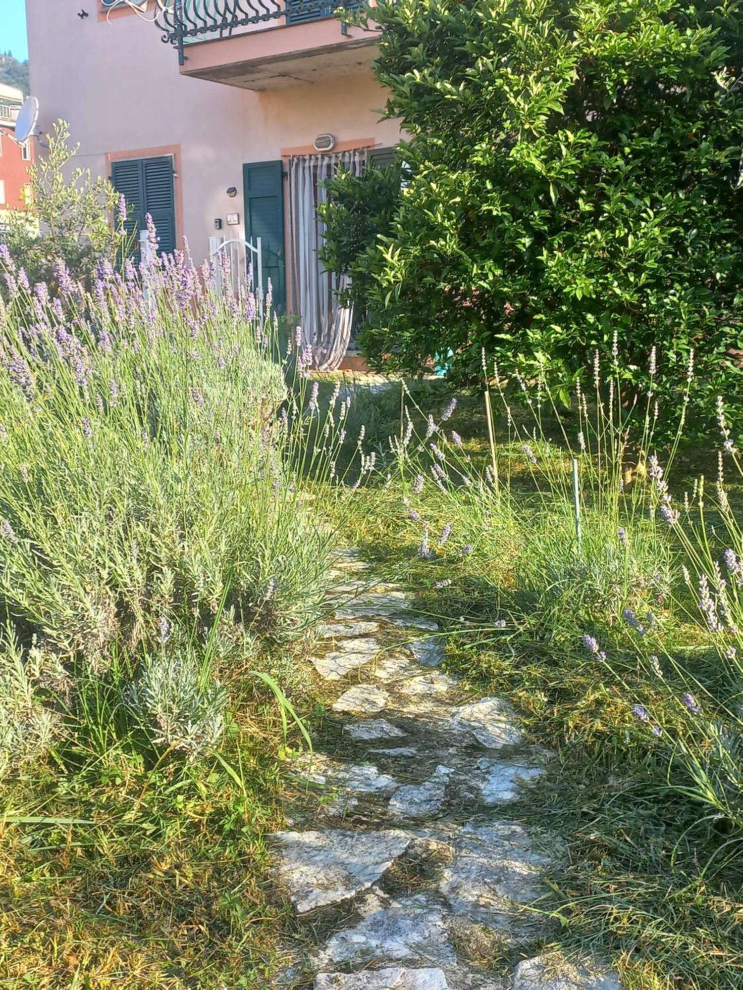 La Casa Di Ulivi Villa Piano di Follo Exteriör bild